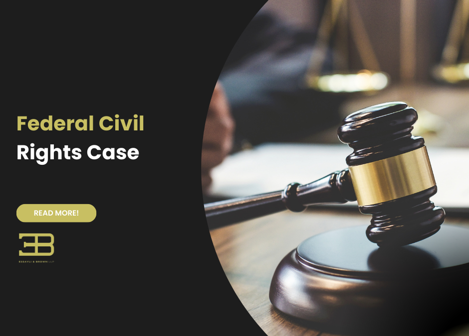 Federal Civil Rights Case